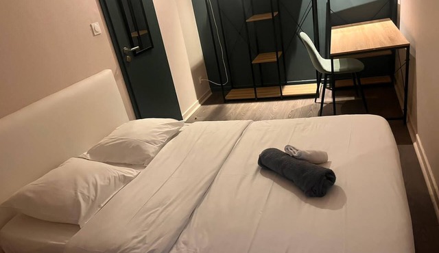 Room with direct access to terrace in apartment in Mulhouse center