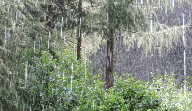 Rooms and guest table mountain