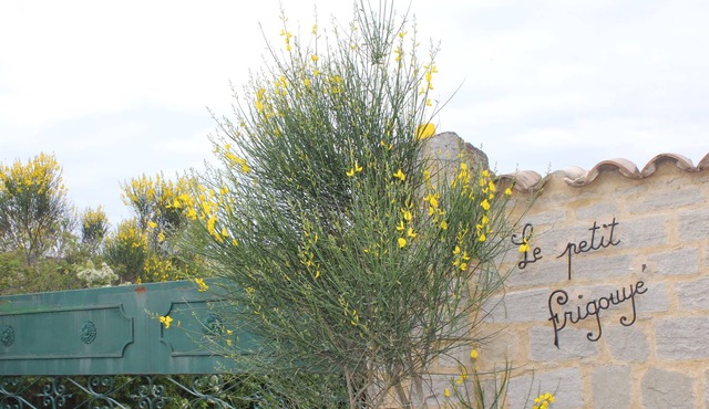 Rooms for rent in the peace of the countryside, near Avignon.