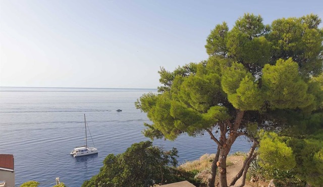 Rooms Katarina One bedroom apartment with terrace and sea view