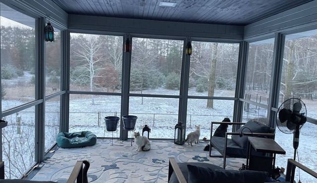 Roomy private country retreat - pet and kid friendly