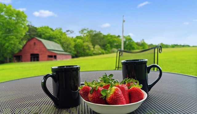 Roomy - Sunroom - Near Wedding Venues - 9 Acres