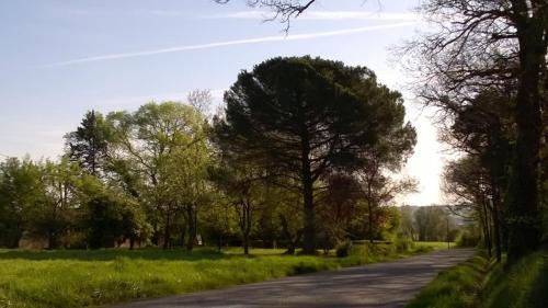 Roquepoix, escale au vert pour sillonner le Gers