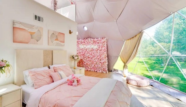 Rosé All Day Geodome - Unique Escapes "Rosé All Day" Dog Friendly Geodome