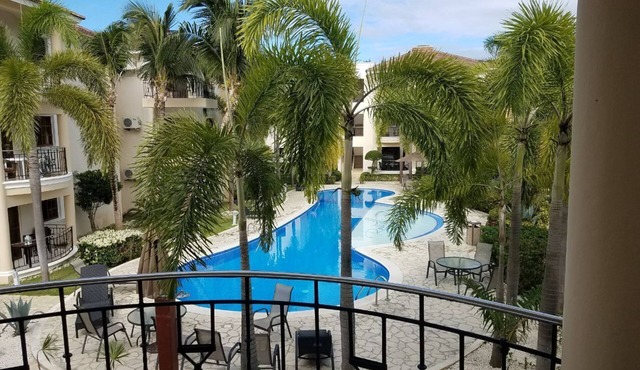 Rosa Hermosa will seduce you !