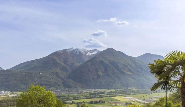 Rosalia by Interhome