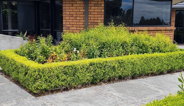 Rosandra Retreat Studio