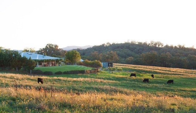 Rosby Guesthouse and Studio