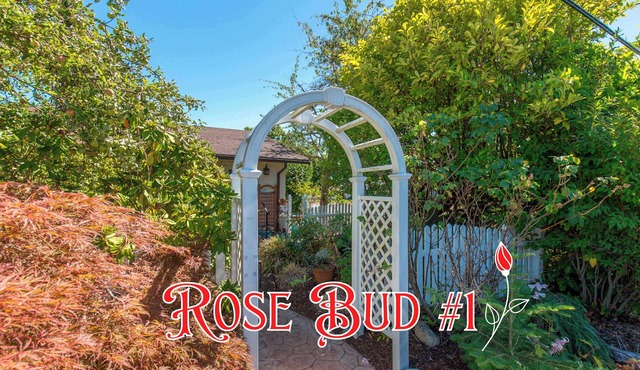 Rose Bud #1 Bedroom Suite in the Heart of the City