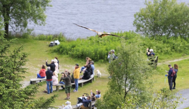 Rose Cabin - One Bedroom House, Sleeps 2