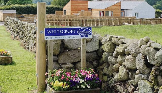 Rose Cottage - 28176