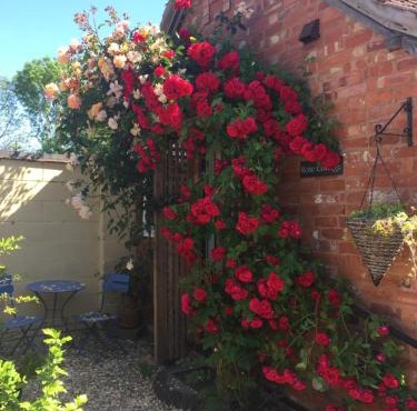 Rose cottage