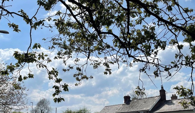 ROSE COTTAGE, pet friendly, character holiday cottage in Abergavenny