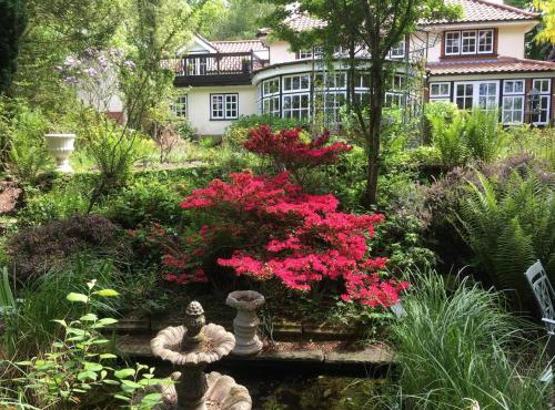 Rose Cottage - West Runton