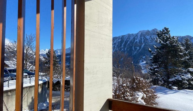 Rose des Alpes