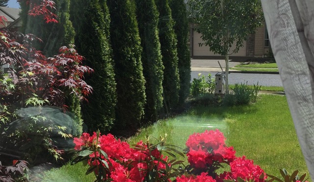 Rose Garden 4-bedroom House/AC in Vancouver