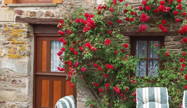 Rose gite Le Cosquer St Connec