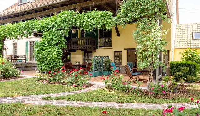 Rose - piscine partagée - proche Europa Park