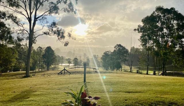 Rosehill cottage and bush retreat