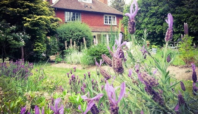 Rosemead Guest House