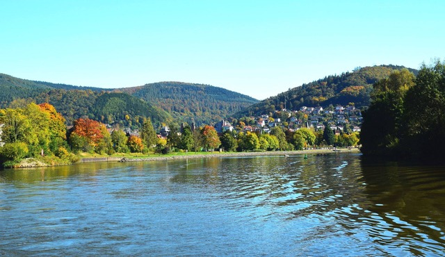 ROSENTURMBLICK - centrally located, furnished apartment for temporary rental in Eberbach