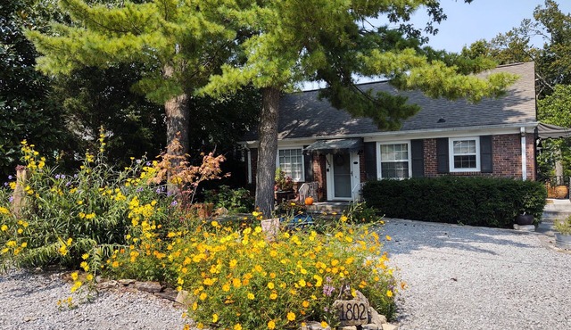 Rosewood Avenue Bungalow