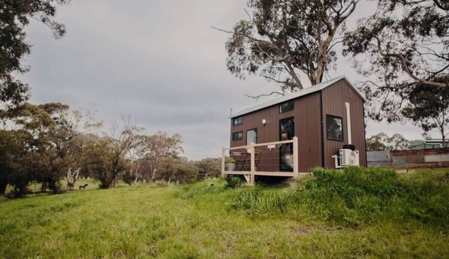 Rosewood Mac by Tiny Away