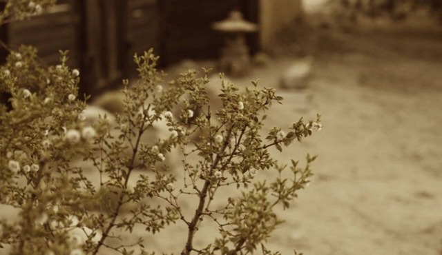 ROSHI ZEN HOUSE Moroccan Japanese Dwell 家