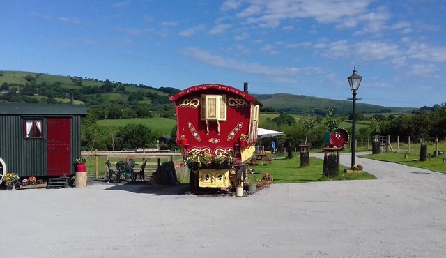 Rosie traditional Gypsy Wagon