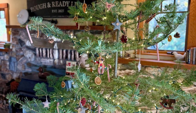 Rough & Ready Ranch Retreat- 4 bed/3 bath home w/gorgeous views