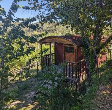 roulotte à la mauvaise herbe