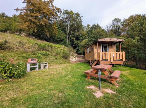 Roulotte cosy avec kitchenette, ruisseau apaisant et espace bien-être, nuit insolite à Ferdrupt - FR-1-589-444