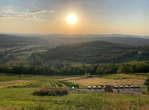 Roulotte de charme au cœur des vignes, vue panoramique sur la vallée de l'ain