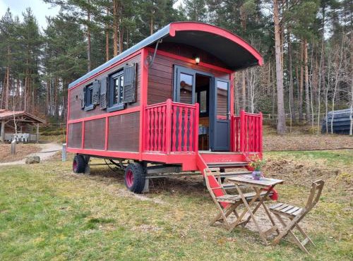 Roulotte nature, animaux admis - 3 pers. - FR-1-496-395