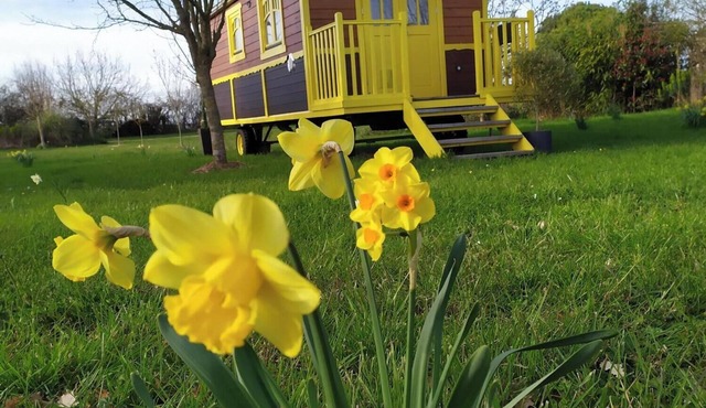 Roulotte Sous le soleil