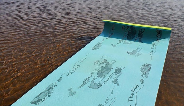 Round Lake Beach House close to Bonnechere Provincial Park