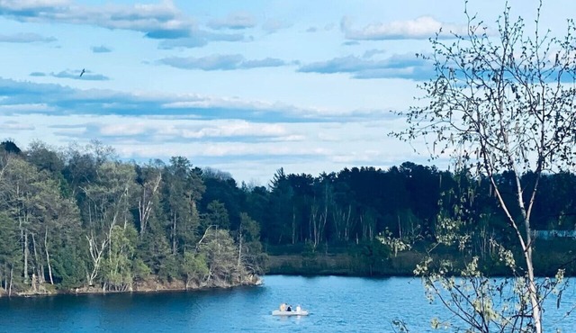 Rowyn's Resort - Cabin w/Lovely Lake Nokomis View