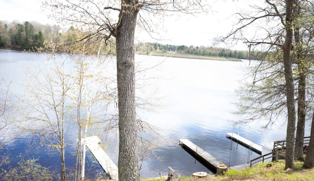 Rowyn's Resort - Cozy Lake Nokomis Cabin