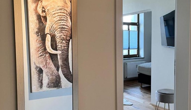 Royal Haus Chemnitz 3- Balkon nahe Zeisigwald in Chemnitz