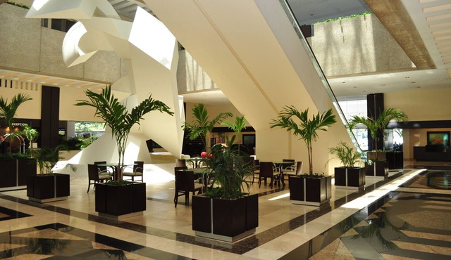 Royal Pedregal Hotel