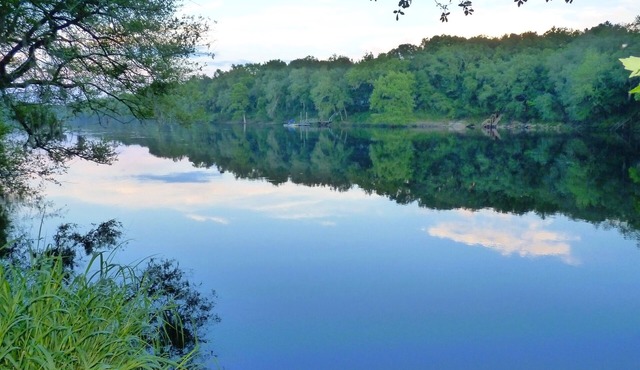 Royal Springs Riverfront Retreat on 3 acres, kayak/canoe, boat ramp, huge decks!