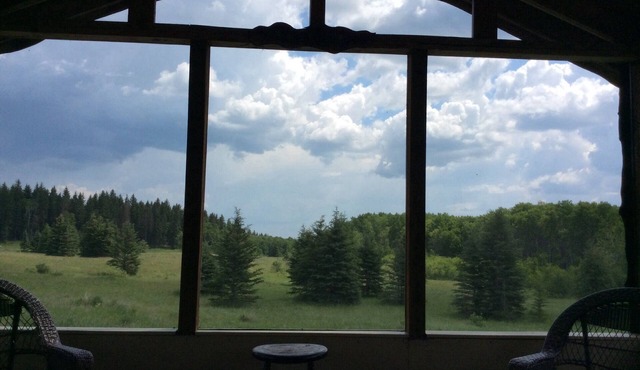 Rugged Cabin near RMNP with screened-in deck, forest and meadow views