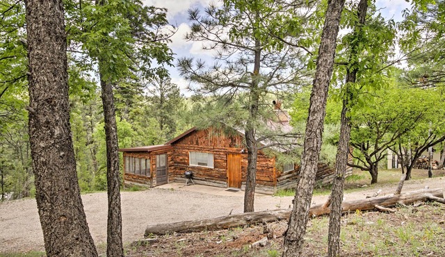 Ruidoso Cabin w/Sunroom, Surrounded By Wildlife!
