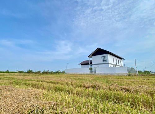 Rumah Burong - A home in a lush paddy field