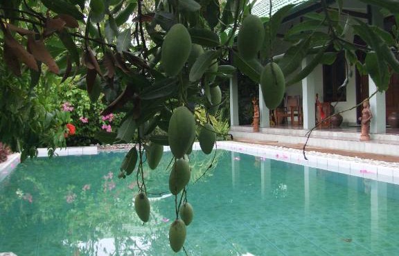 Rumah Sawah