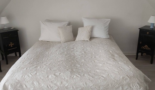 Rummelig Lejlighed Ideel til par Eller 2 Rejsende