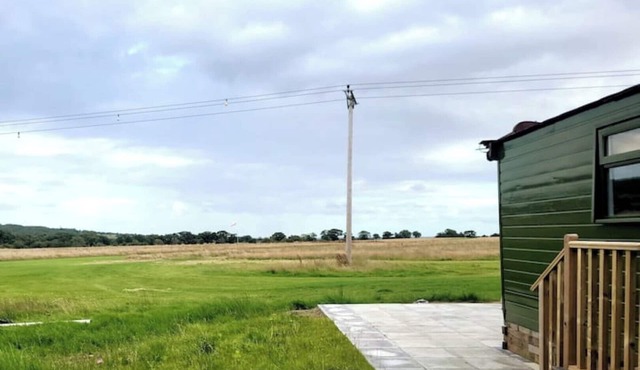 Runaway Northumberland