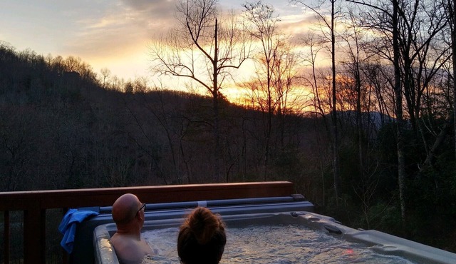 Running Squirrel Ridge cabin w/Hot tub+WiFi+firepit+deck & trails w/lake view!