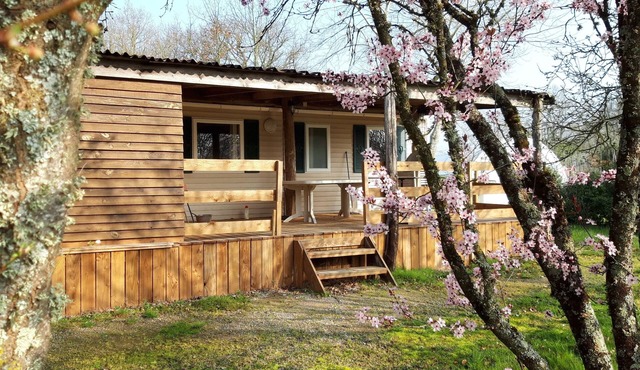 Rural accommodation 8-10 pers. : heated swimming pool, ponies, fishing, Puy du Fou