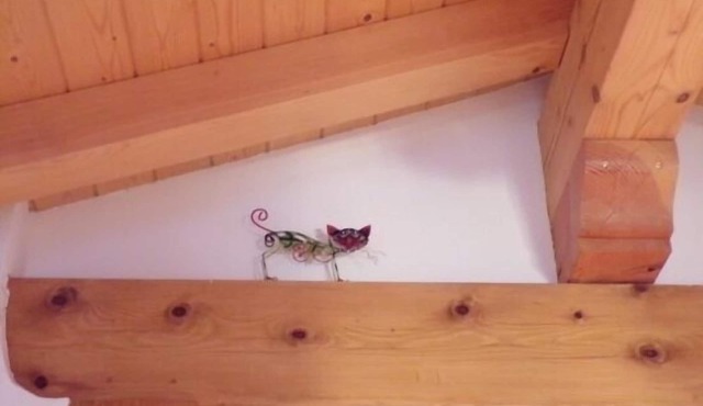 Rural apartment (full rental) Gainkoborda for 8 persons